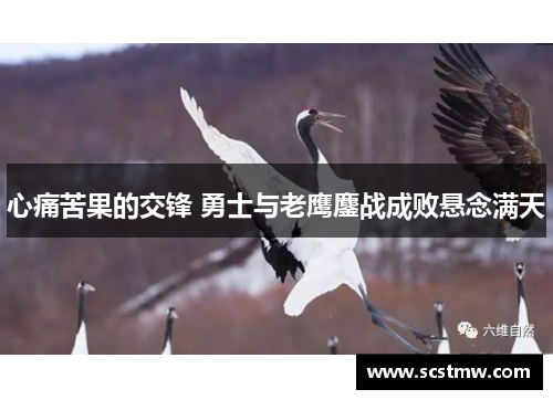 心痛苦果的交锋 勇士与老鹰鏖战成败悬念满天